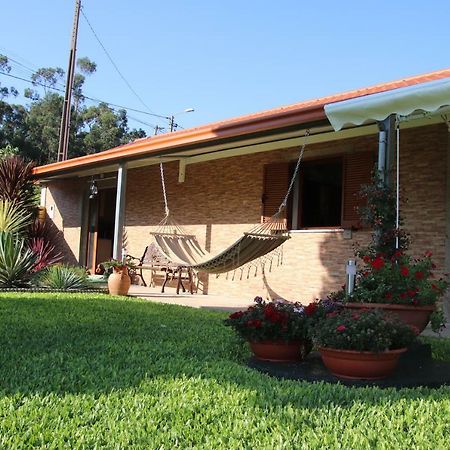 Pensjonat Casa Flor Da Laranjeira Ponte de Lima Zewnętrze zdjęcie